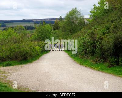 Horwich, Lancashire , Royaume-Uni, 04 avril 2026 : groupe de personnes profitant d'une promenade tranquille avec leurs chiens le long d'un chemin de gravier serpentant à travers le vege vert luxuriant Banque D'Images