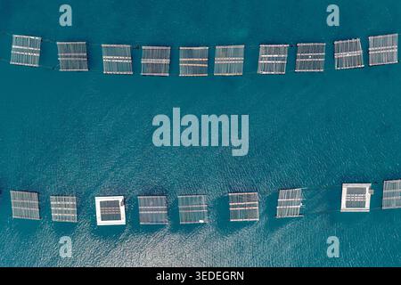 Vue aérienne de radeaux de culture d'huîtres ou d'algues flottant sur la mer turquoise près de la péninsule d'Itoshima Itoshima, Fukuoka, Japon. Banque D'Images