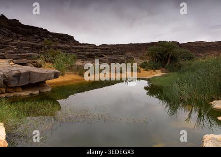 Splendide oasis avec un petit lac, Mauritanie Banque D'Images