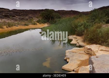 Splendide oasis avec un petit lac, Mauritanie Banque D'Images