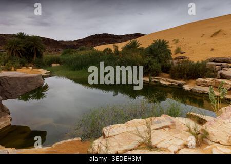 Splendide oasis avec un petit lac, Mauritanie Banque D'Images