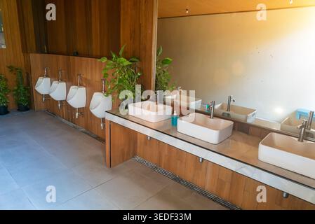 Cette image présente une salle de bain moderne pour hommes avec des accessoires élégants, des lignes épurées et des éléments naturels comme des plantes pour une atmosphère rafraîchissante. Banque D'Images