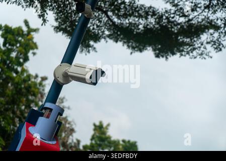Une caméra de surveillance montée sur un poteau capture l’activité urbaine. La caméra est partiellement ombragée par des branches d'arbres, mettant en évidence la sécurité et la surveillance. Banque D'Images