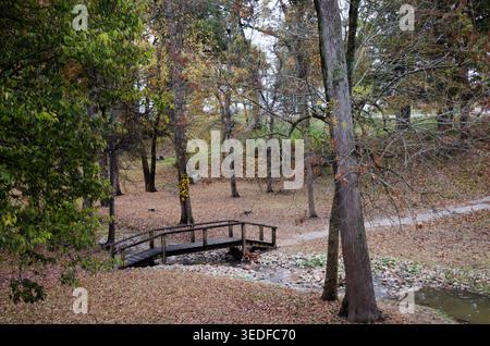 Une petite passerelle en bois traverse un ruisseau peu profond dans un parc paisible entouré d'arbres au feuillage d'automne vibrant. Les feuilles tombées couvrent le sol, Banque D'Images