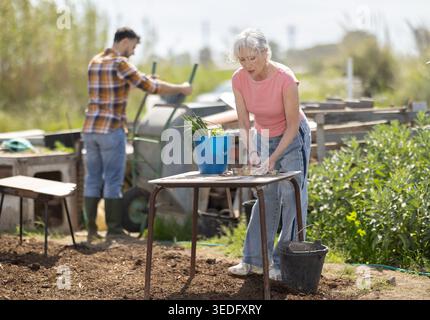La femme mature travaille dans le jardin à l'extérieur - préparant divers outils pour prendre soin des plantes Banque D'Images