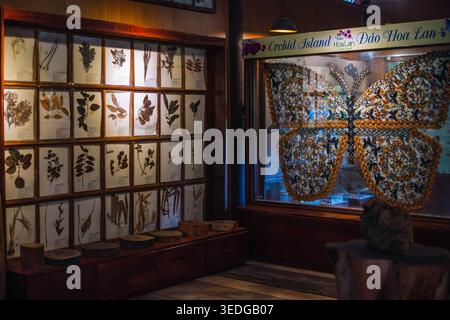 Affichage de plantes pressées et mosaïque de papillons Banque D'Images