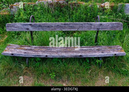 Banc en bois vieilli avec pieds en fer et clous rouillés entourés d'herbe longue Banque D'Images