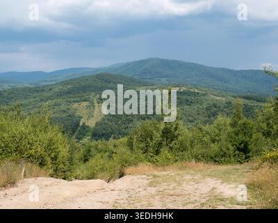 Vue panoramique sur la montagne Malyi Vyzhen dans les Carpates. Forêt feuillus verdoyante couvrant des collines ondulantes sous un ciel nuageux spectaculaire en été Banque D'Images