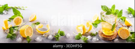 Limonade d'été rafraîchissante maison avec des tranches de citron, des feuilles de menthe et de la glace dans le verre. Banque D'Images