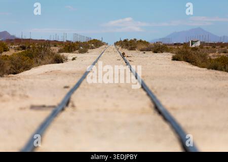 Une paire de voies ferrées à voie étroite coupent une ligne droite à travers le terrain aride et recouvert de sable de la région d'Uyuni à Potosi, Bolivie, disparaissant Banque D'Images