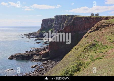 Falaises de grès rouge près d'Ethie Angus Écosse mai 2026 Banque D'Images