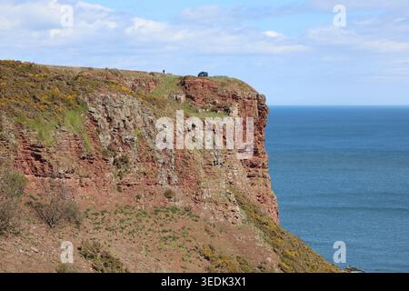 Falaises de grès rouge près d'Ethie Angus Écosse mai 2026 Banque D'Images