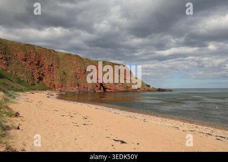 Falaises de grès rouge et sable doré Carlingheugh Bay Angus Écosse mai 2026 Banque D'Images