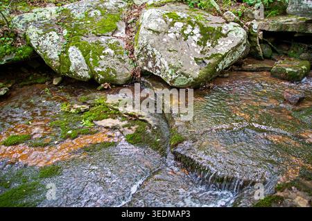 De grands rochers moussseux entourent un ruisseau qui coule avec des eaux ruisselant sur des rochers plats, créant une scène paisible dans la nature. Banque D'Images