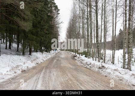 Forêt finlandaise en hiver. Espoo, Finlande. Banque D'Images