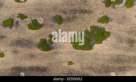 Vue aérienne de buissons verts éparpillés sur un terrain sablonneux sec avec des traces de pneus visibles Badagry, Lagos, Nigeria. Banque D'Images