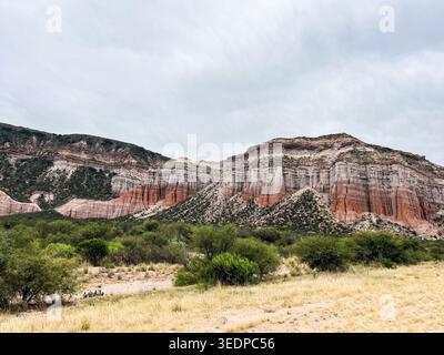 Vue spectaculaire sur les formations rocheuses rouges et multicolores, avec des formes géologiques spectaculaires, des motifs sédimentaires et une végétation naturelle. Banque D'Images