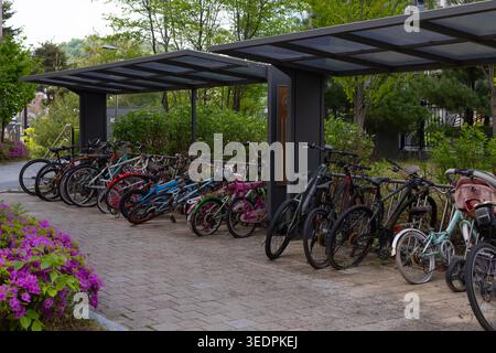 Séoul, Corée du Sud - 05/2026 : abri de stationnement pour vélos avec vélos stationnés dans un quartier résidentiel moderne Banque D'Images