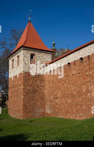 Reconstruction de la tour et fragment de mur défensif du XIVe siècle. Olkusz, Pologne. Banque D'Images