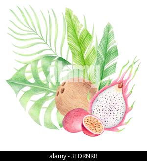 Fruits tropicaux et feuilles, aquarelle et illustration au crayon de couleur Banque D'Images