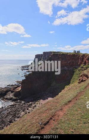 Falaises de grès rouge près d'Ethie Angus Écosse mai 2026 Banque D'Images
