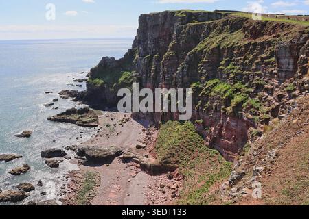 Falaises de grès rouge près d'Ethie Angus Écosse mai 2026 Banque D'Images