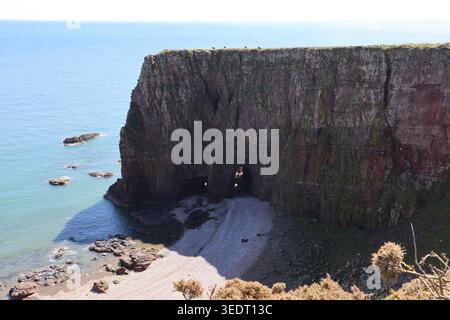 Falaises de grès rouge près d'Ethie Angus Écosse mai 2026 Banque D'Images