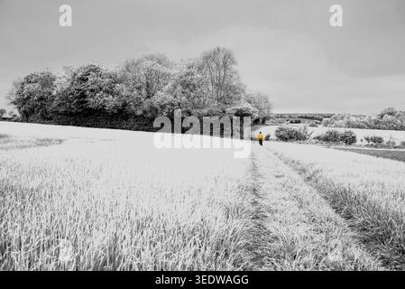 Les voies publiques d'Angleterre dans les Cotswolds. Banque D'Images