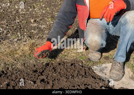 Jardinier vérifiant la qualité du sol dans le champ. Gros plan d'un jardinier agenouillé à l'extérieur et examinant le sol frais à la main, suggérant l'agriculture, la plantation et Banque D'Images