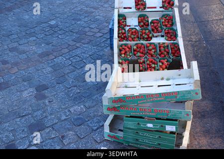 Une gamme de baies biologiques fraîches, raisins et agrumes dans des cagoules colorées et des caisses exposées à la vente sur un marché français en plein air animé. Banque D'Images