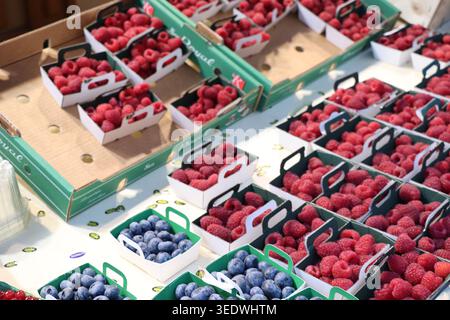 Une gamme de baies biologiques fraîches, raisins et agrumes dans des cagoules colorées et des caisses exposées à la vente sur un marché français en plein air animé. Banque D'Images