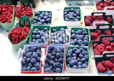 Une gamme de baies biologiques fraîches, raisins et agrumes dans des cagoules colorées et des caisses exposées à la vente sur un marché français en plein air animé. Banque D'Images