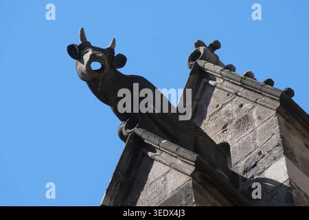Statue de gargouille s'étendant d'un mur à Barcelone. Buses d'eau pour détourner l'eau de pluie des murs de maçonnerie d'un bâtiment pour prévenir l'érosion Banque D'Images