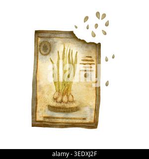 Un paquet de graines pour la plantation, une illustration d'aquarelle dessinée à la main. Isolé sur fond blanc. Parfait pour imprimer des cartes postales, des affiches Banque D'Images