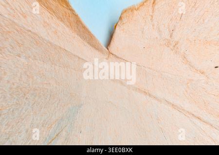 La vue macro révèle les fibres naturelles complexes et les plis subtils d'un papier de couleur pêche clair sur un fond bleu ciel doux Banque D'Images