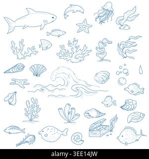 Animaux et plantes du monde sous-marin de l'océan, un ensemble de dessins dessinés à la main. Illustration vectorielle. Requins, dauphins et poissons, algues et coquillages, Illustration de Vecteur