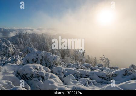 Vue sur les pentes enneigées de la montagne Salatin avec des arbres gelés sous un épais brouillard hivernal et un soleil éclatant à Liptovska Stiavnica, Zilinsky kraj, S. Banque D'Images