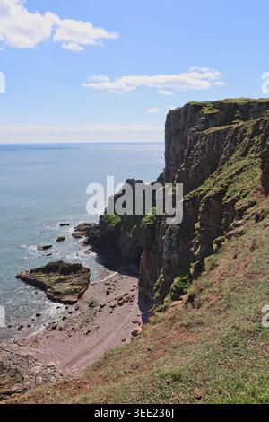 Falaises de grès rouge près d'Ethie Angus Écosse mai 2026 Banque D'Images