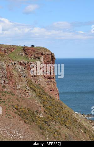 Falaises de grès rouge près d'Ethie Angus Écosse mai 2026 Banque D'Images