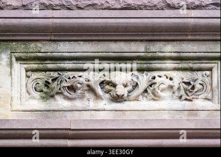 Gros plan de frise de pierre altérée avec visage d'animal et sculptures de feuilles de curling sur la façade du bâtiment Victoria College. Banque D'Images