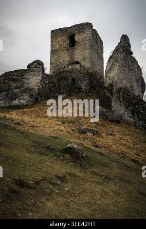 Les ruines anciennes de château en pierre altérées se dressent au sommet d'une colline herbeuse sous un ciel couvert symbolisant l'histoire et la décomposition Banque D'Images