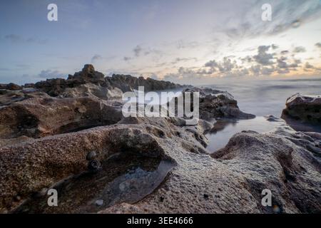 Vue des formations rocheuses poreuses et des marées le long de la côte sous un ciel nuageux doux à l'aube en Floride, États-Unis. Banque D'Images