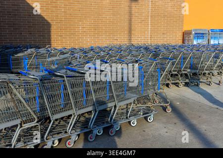 De nombreux chariots sont garés en rangée à l'extérieur du magasin pendant la journée près de la construction de briques. Banque D'Images