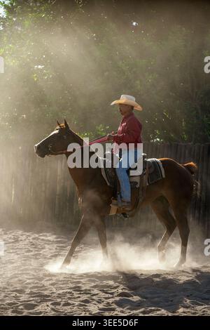 Cow-boy à cheval naviguant dans une arène sablonneuse, créant un nuage de poussière illuminé par de forts rayons de soleil qui se déversent à travers les arbres - photo de stock Banque D'Images