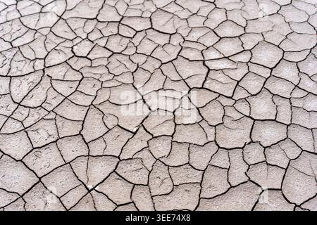 Sol desséché avec des structures de fissures complexes causées par des conditions de chaleur extrême et de sécheresse. La texture détaillée met en évidence les problèmes environnementaux comme le désert Banque D'Images
