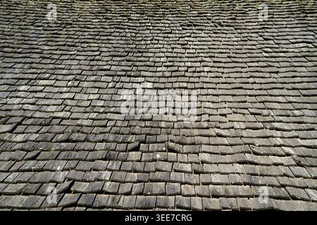 Bardeaux médiévaux en bois sur le toit, la maison médiévale reconstruite, 13ème siècle, Nienover, Bodenfelde, basse-Saxe, Allemagne Banque D'Images