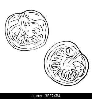 Ensemble vectoriel d'art de ligne noir et blanc de deux coupes transversales de tomate cerise montrant les graines et les chambres. Illustration culinaire minimaliste pour restaurant me Illustration de Vecteur