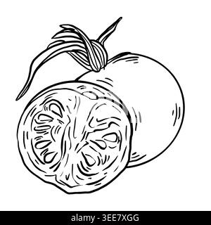 Vecteur d'art de ligne noir et blanc d'une tomate entière avec tige et une moitié coupée montrant les graines et les chambres. Illustration culinaire minimaliste pour restaurant Illustration de Vecteur