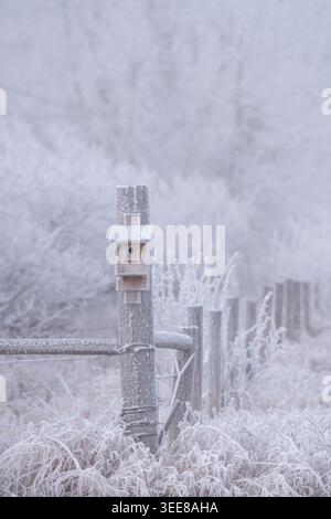 Une scène hivernale sereine avec un nichoir givré au milieu d'un paysage enneigé Banque D'Images