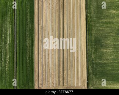 Vue aérienne des champs agricoles avec des cultures vertes et une zone centrale labourée avec des sillons verticaux Borgo d'Ale, Piémont, Italie. Banque D'Images
